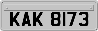 KAK8173