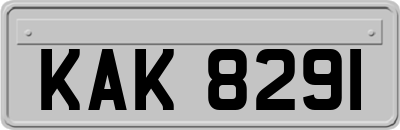 KAK8291