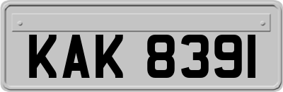 KAK8391