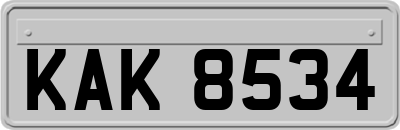 KAK8534