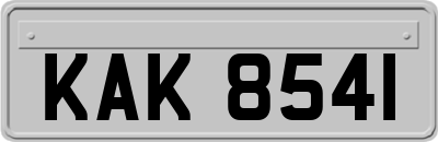 KAK8541
