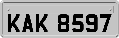 KAK8597