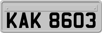 KAK8603