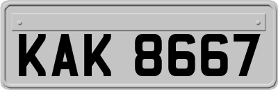 KAK8667