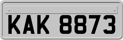 KAK8873