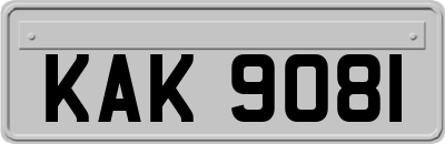 KAK9081