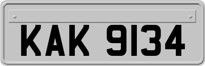KAK9134