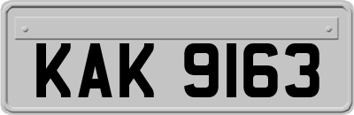 KAK9163