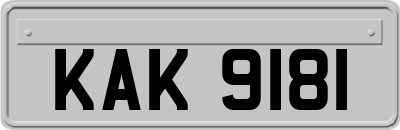 KAK9181