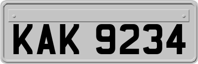 KAK9234