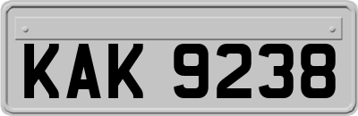 KAK9238