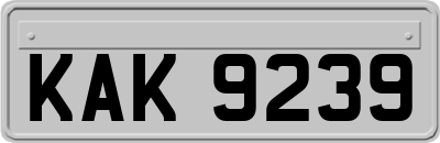 KAK9239
