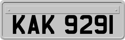 KAK9291