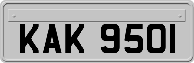 KAK9501