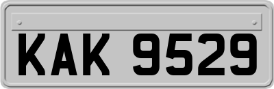 KAK9529