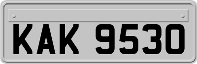 KAK9530
