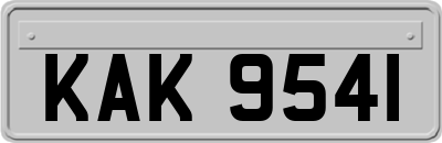 KAK9541