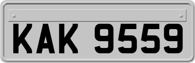 KAK9559
