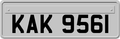 KAK9561