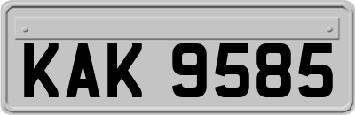 KAK9585