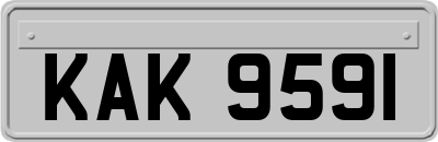KAK9591