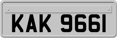 KAK9661