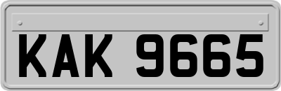 KAK9665