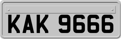 KAK9666