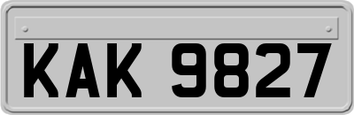 KAK9827