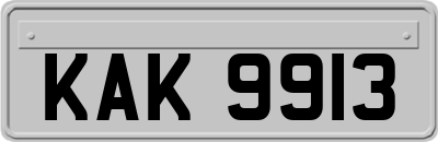 KAK9913