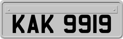 KAK9919