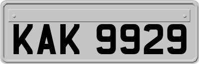KAK9929