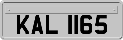 KAL1165