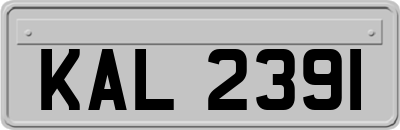 KAL2391