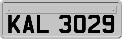 KAL3029