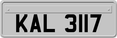 KAL3117