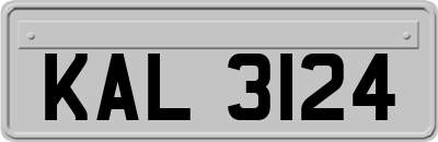 KAL3124