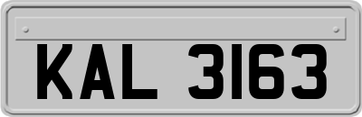 KAL3163