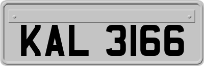 KAL3166