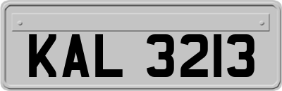 KAL3213