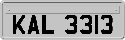 KAL3313