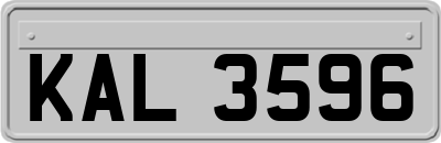 KAL3596