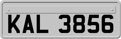 KAL3856