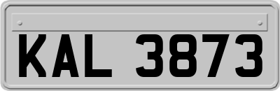 KAL3873