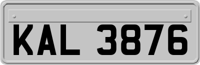 KAL3876
