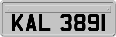 KAL3891