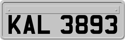 KAL3893