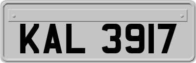 KAL3917