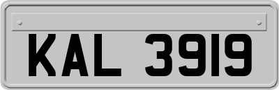 KAL3919