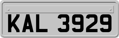 KAL3929